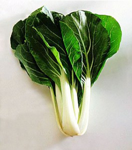 Bok Choy