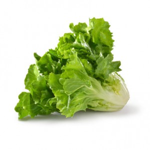 lettuce_escarole
